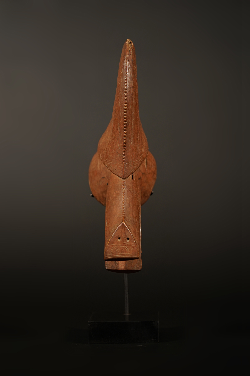 BSC05454
