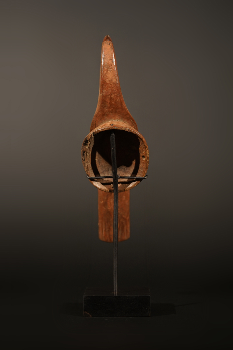 BSC05459