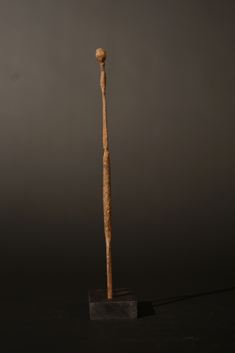 BSC05499