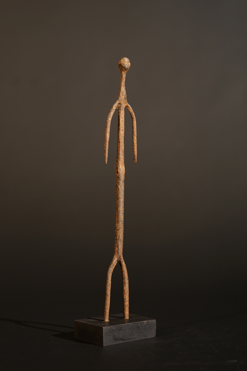 BSC05509