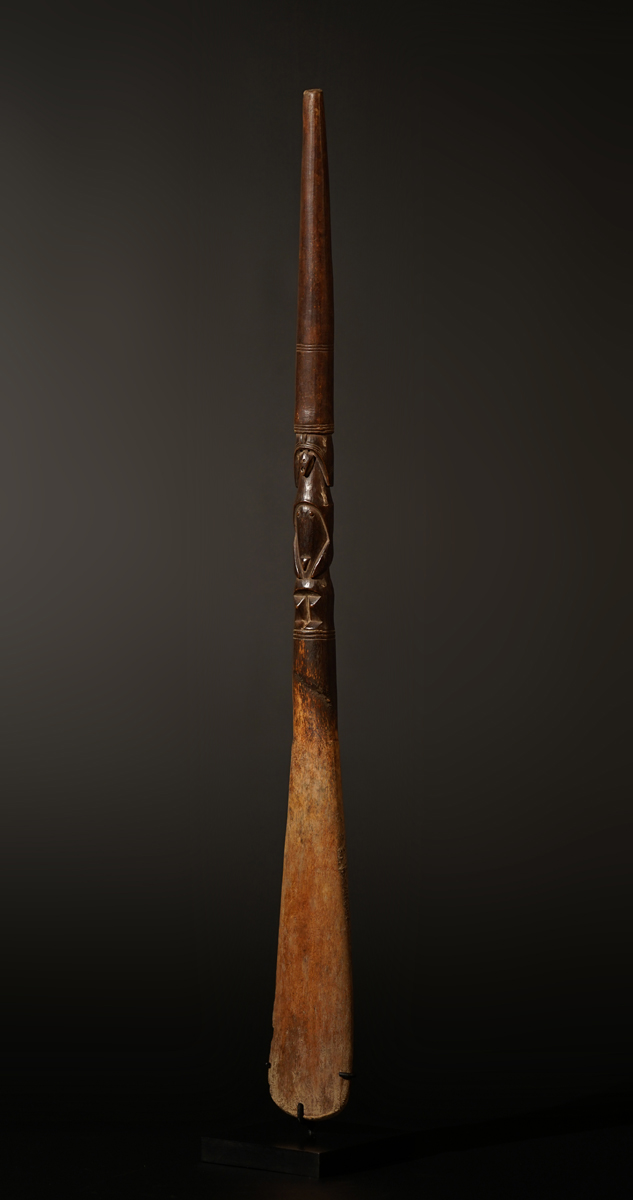 BSC05779