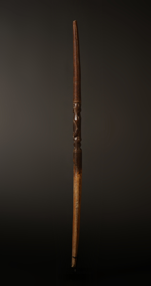 BSC05784