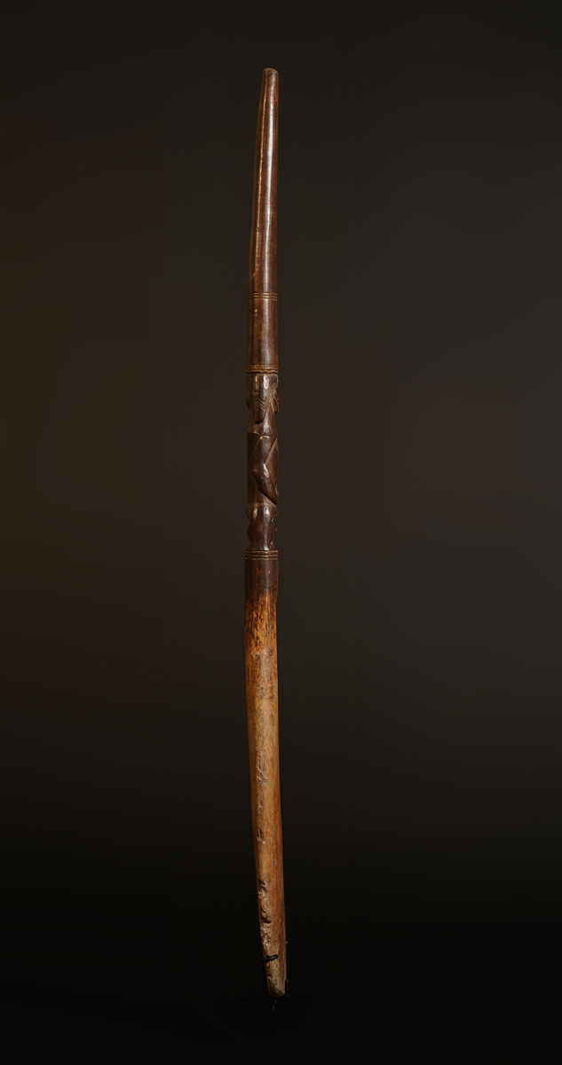 BSC05789