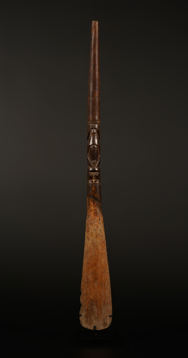 BSC05799