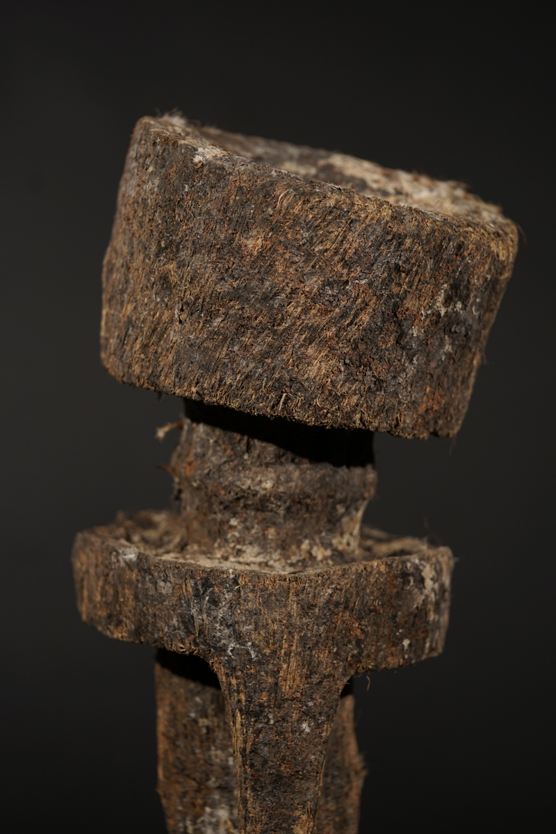 BSC06097