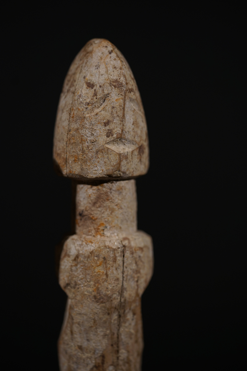 BSC09975