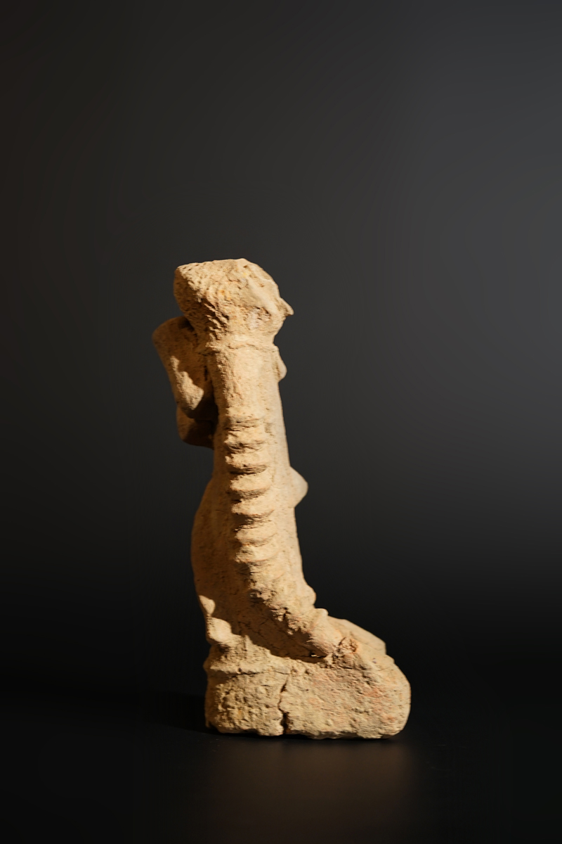 BSC00911
