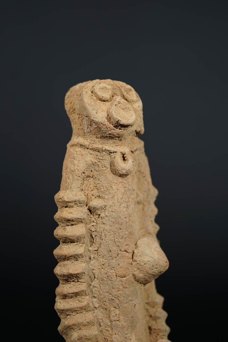 BSC00946