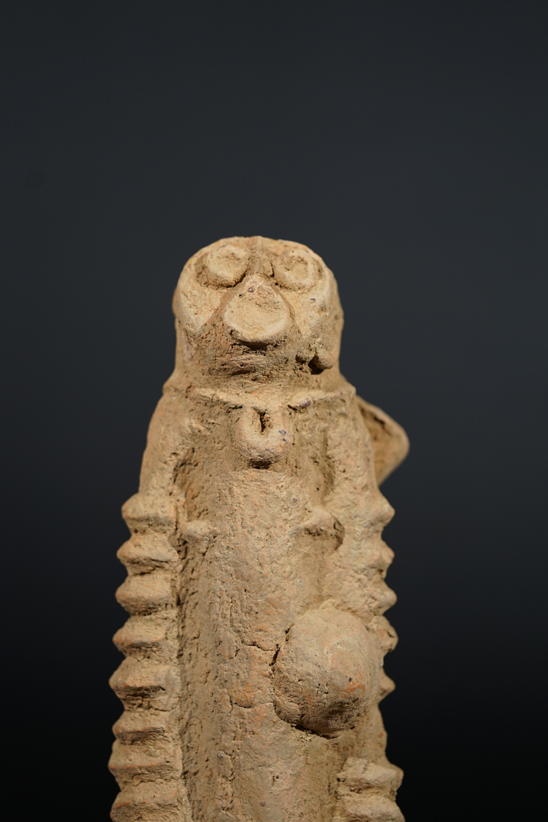 BSC00951