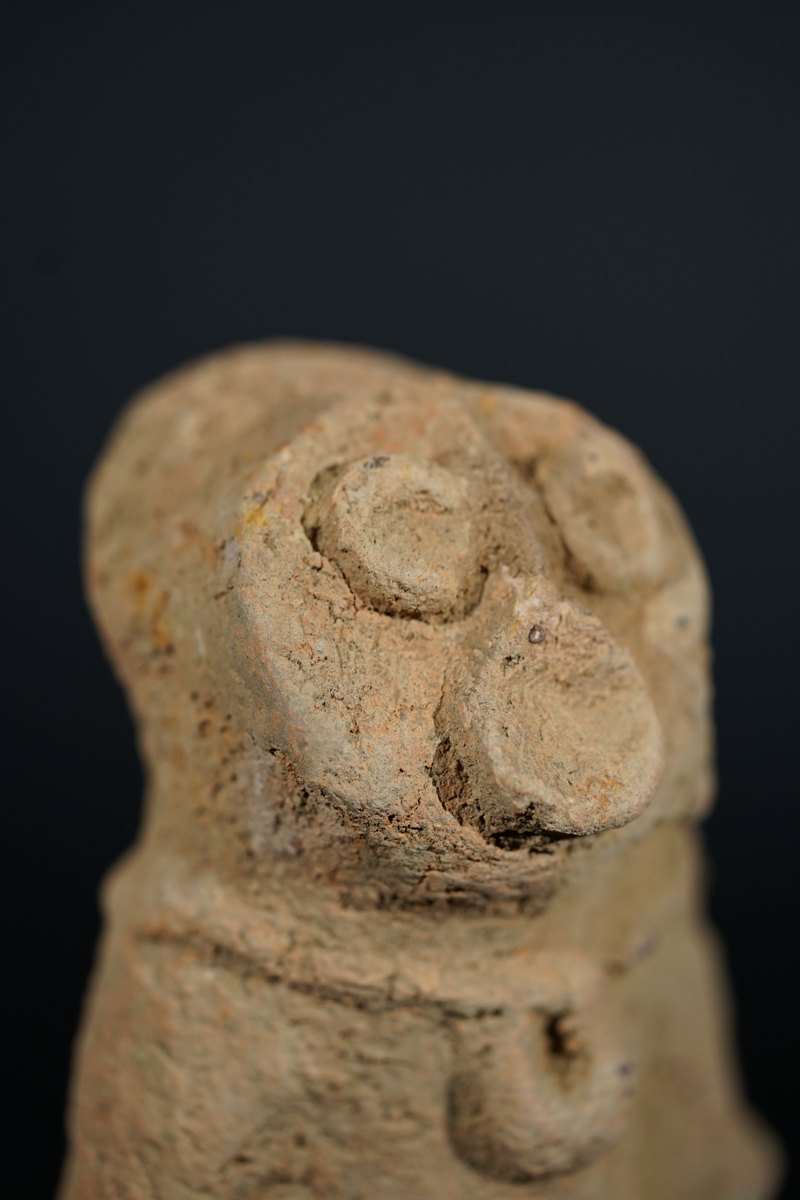 BSC00971