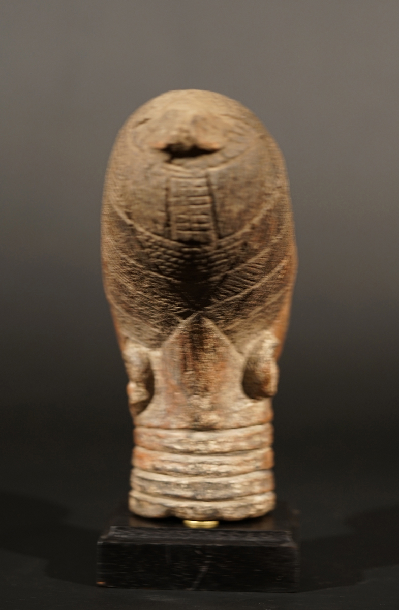 BSC01359