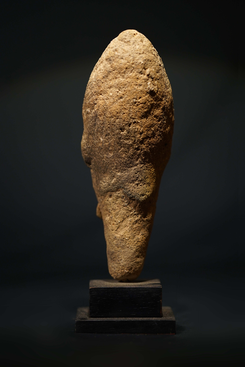 CSC01376