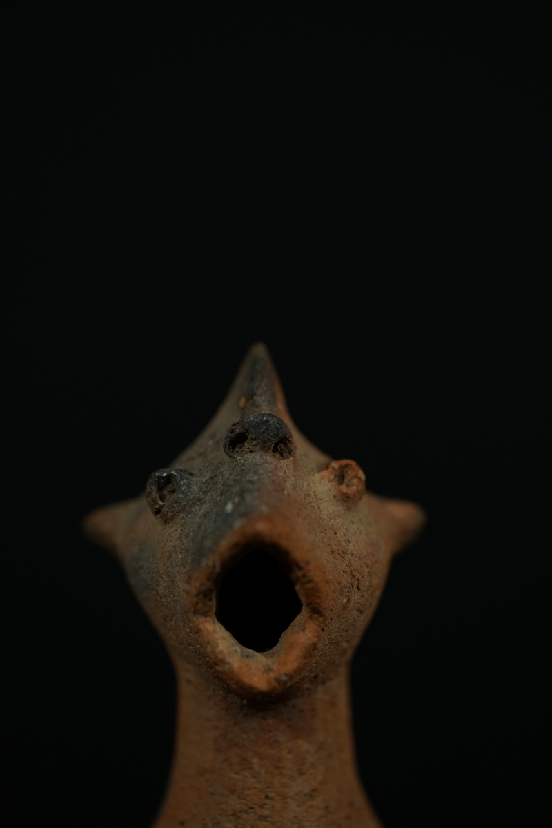 CSC03426