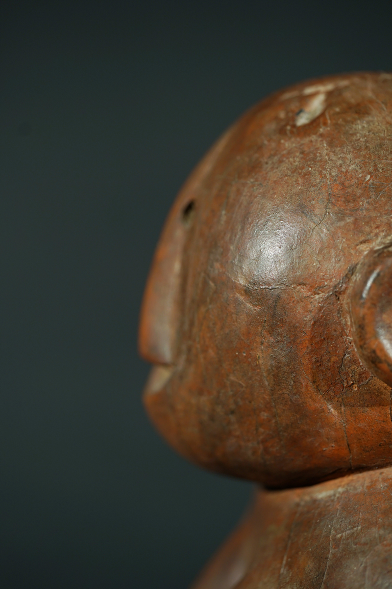 CSC09994