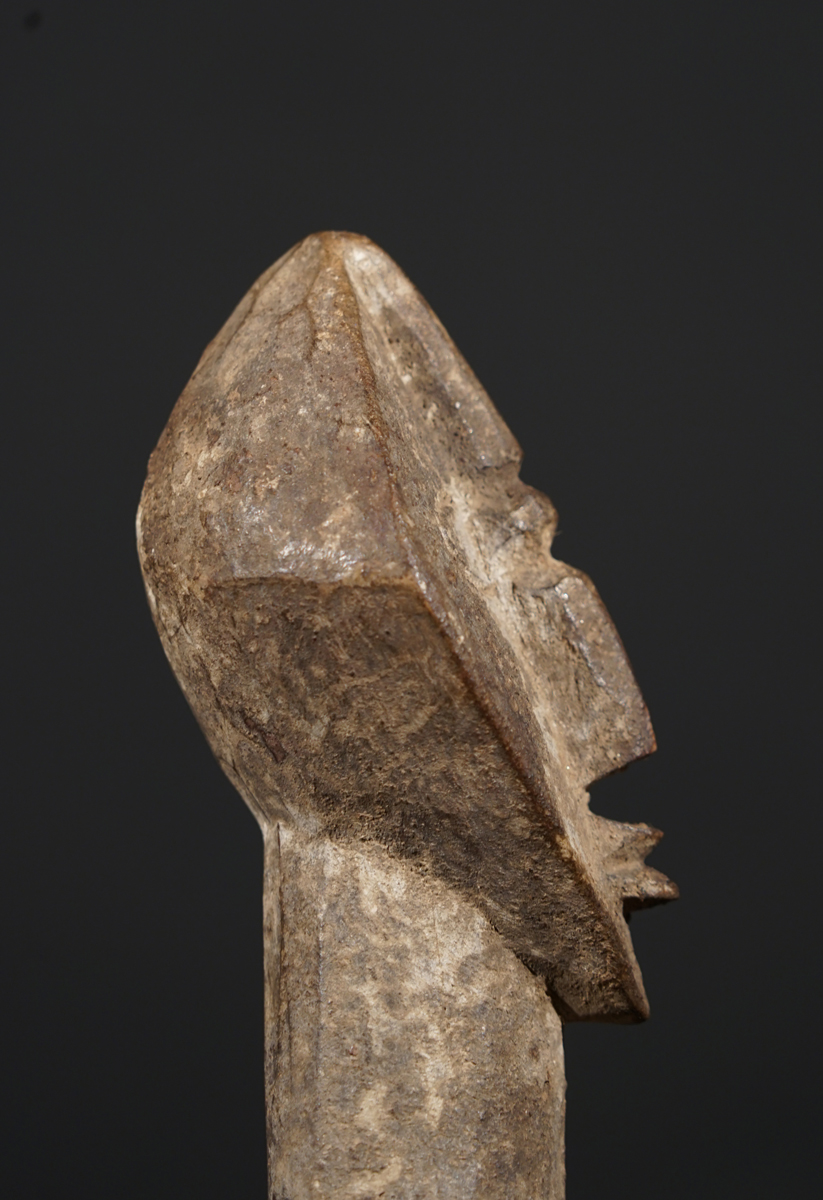 CSC03250