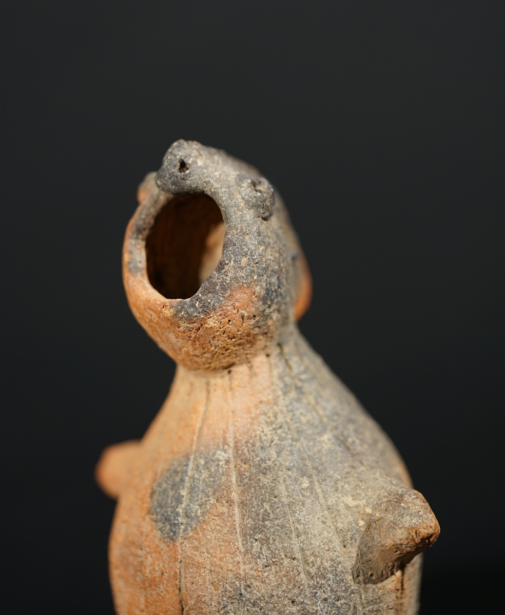 CSC03515