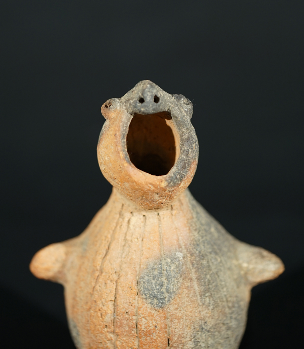 CSC03542