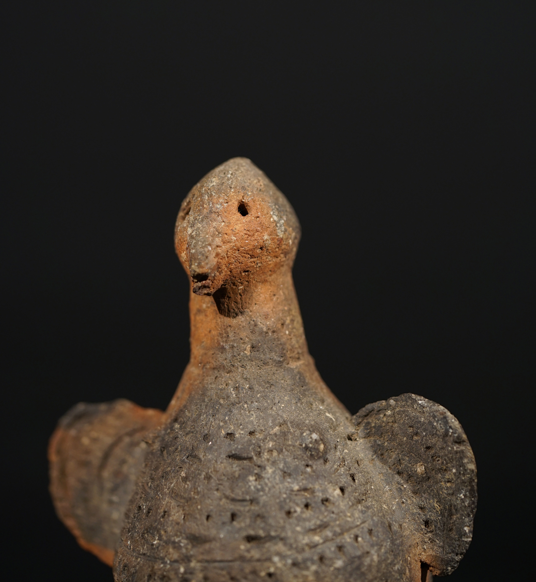 CSC03885