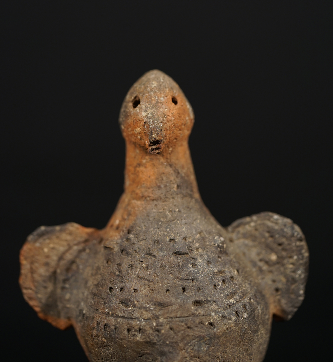 CSC03905