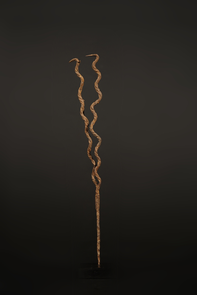 CSC04305