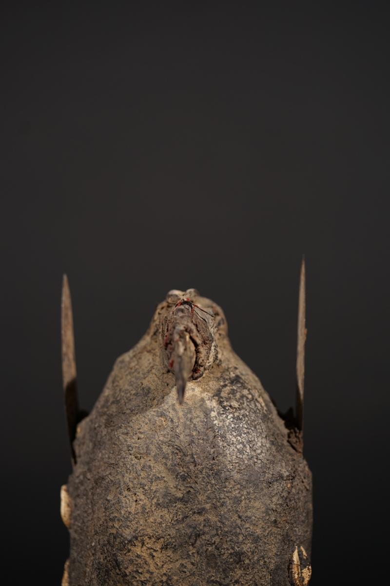 CSC05502