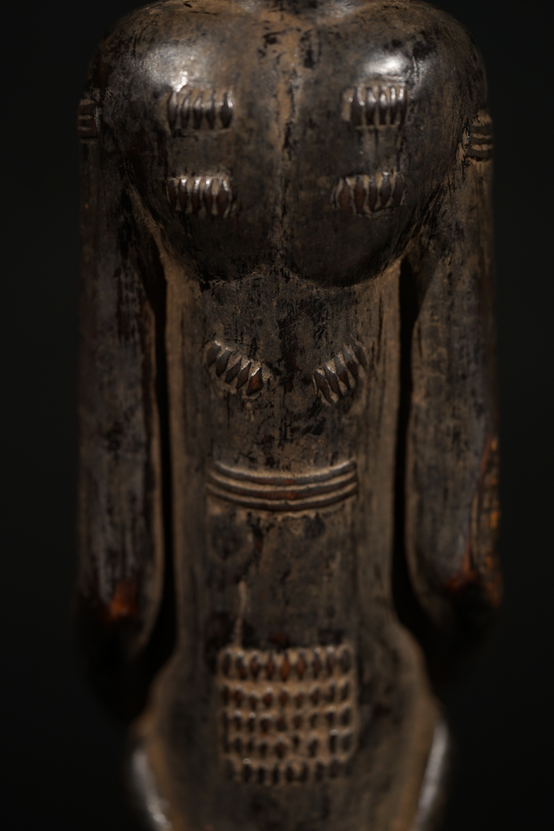 FSC06080