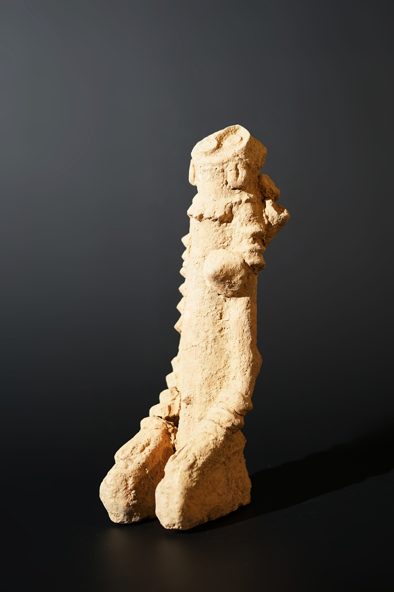 BSC09776