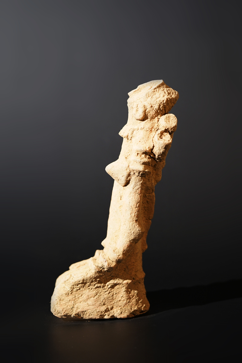 BSC09781