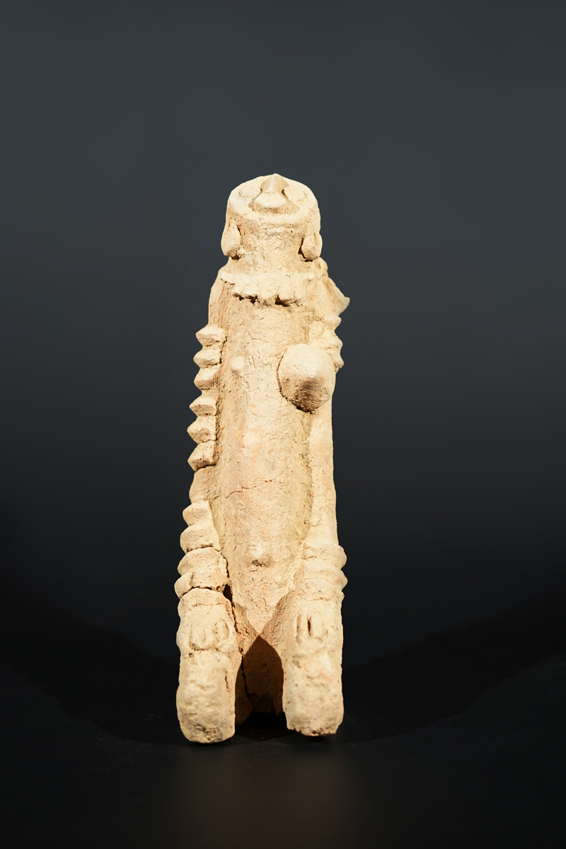BSC09796