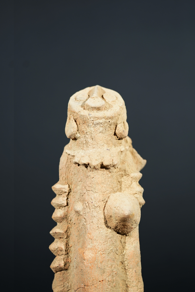 BSC09826