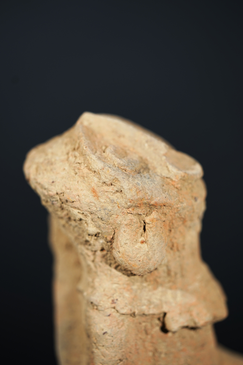BSC09841