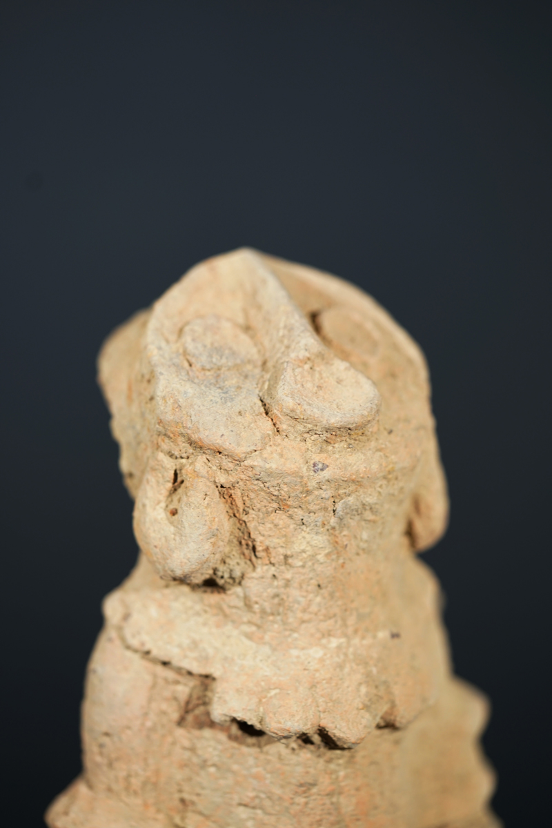 BSC09846