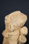 BSC09836
