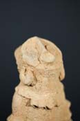 BSC09846