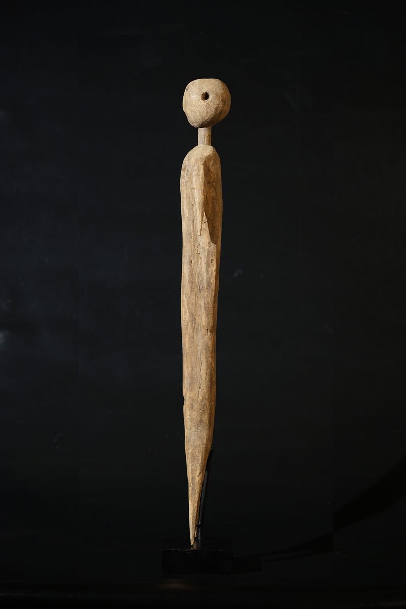 FSC09260
