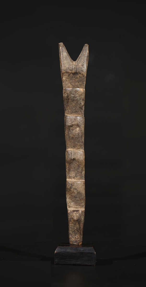 FSC02686