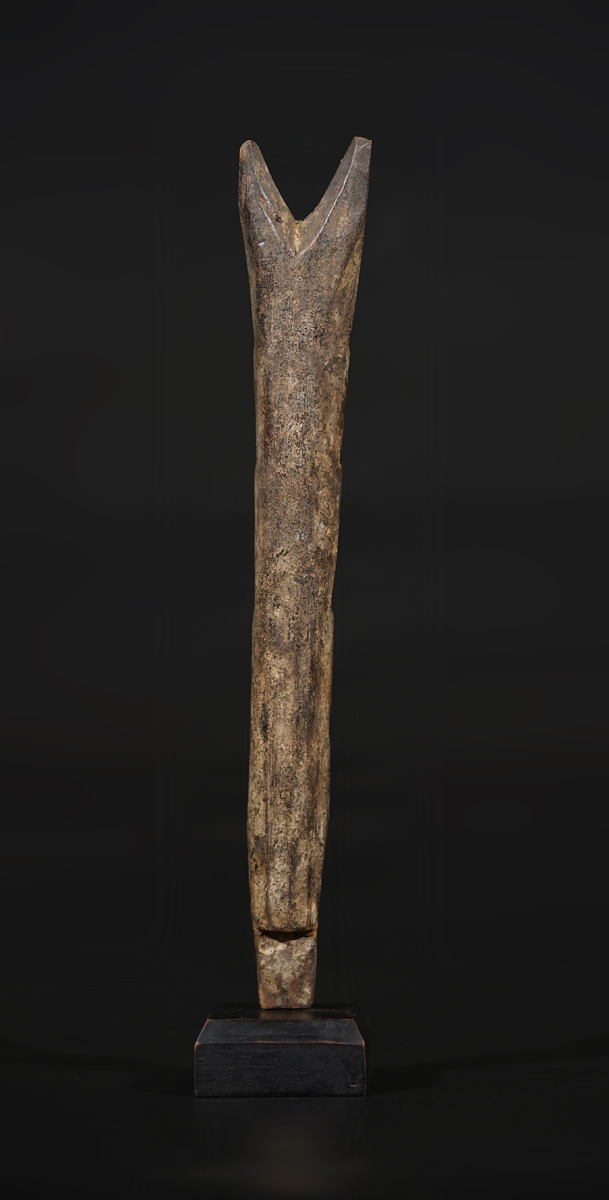 FSC02701