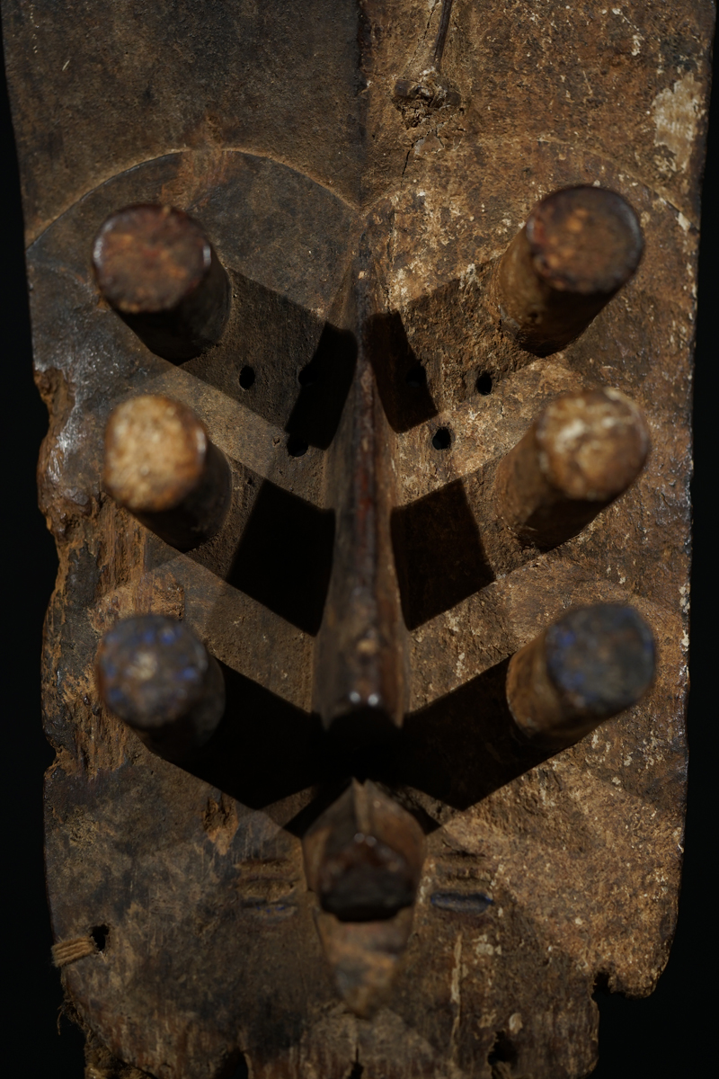 FSC03181