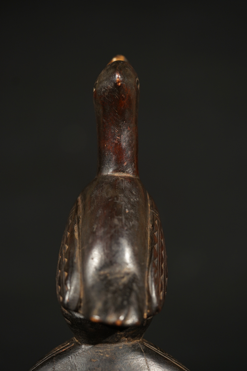FSC01856