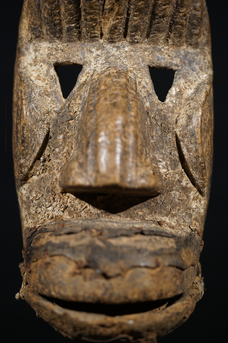 FSC02265
