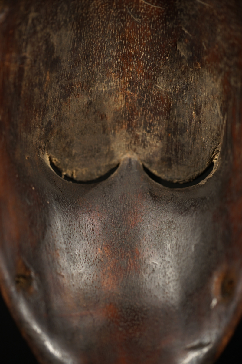 FSC03833