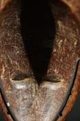 FSC01683