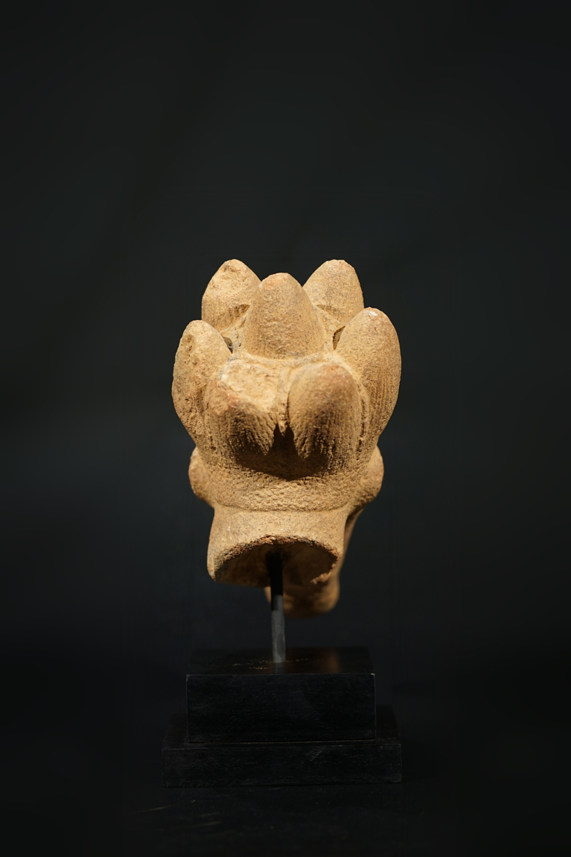 FSC05962