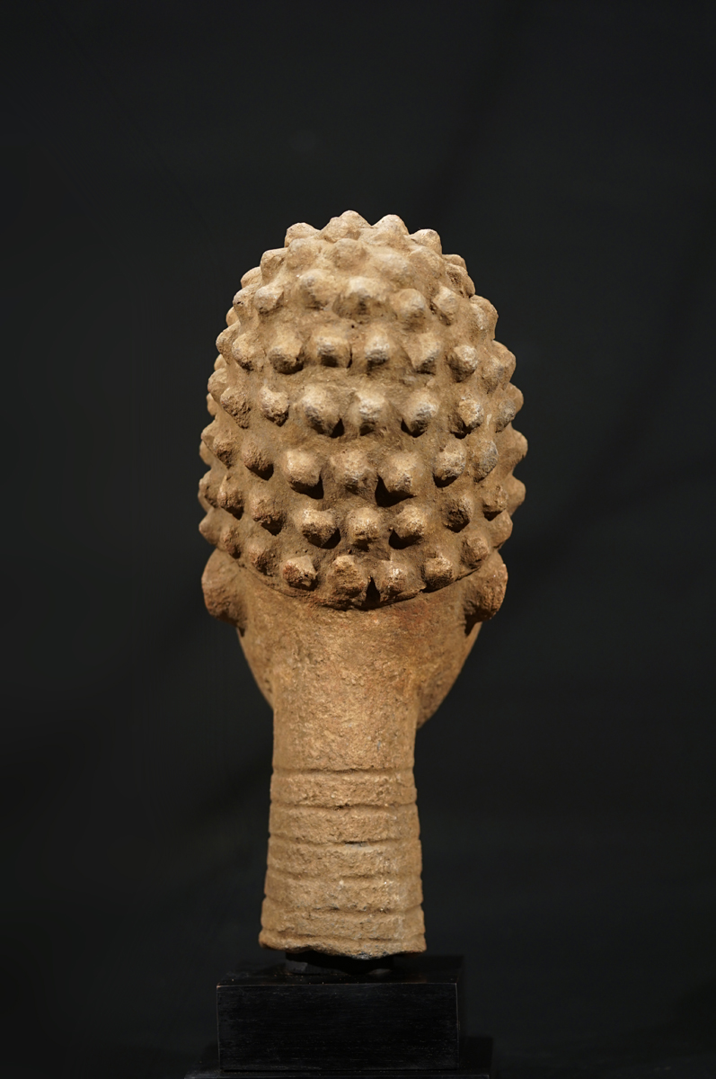 FSC06252