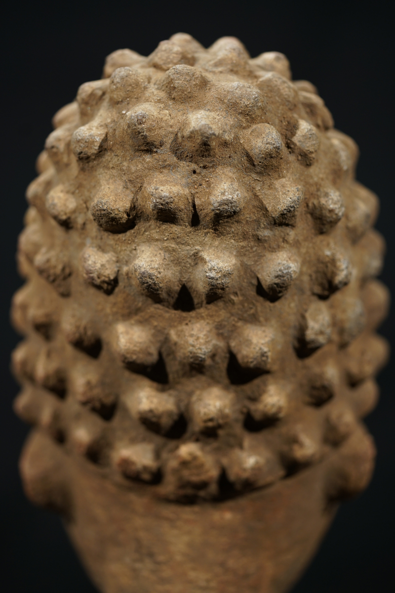 FSC06282