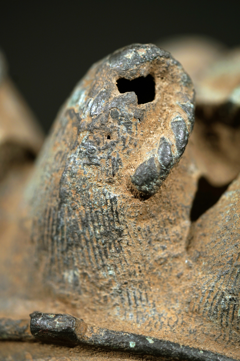 FSC06934