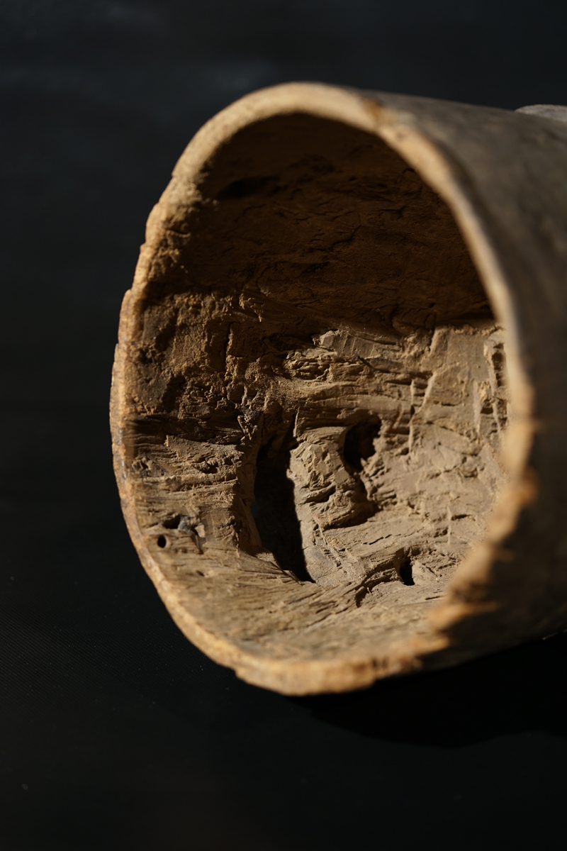 FSC04428