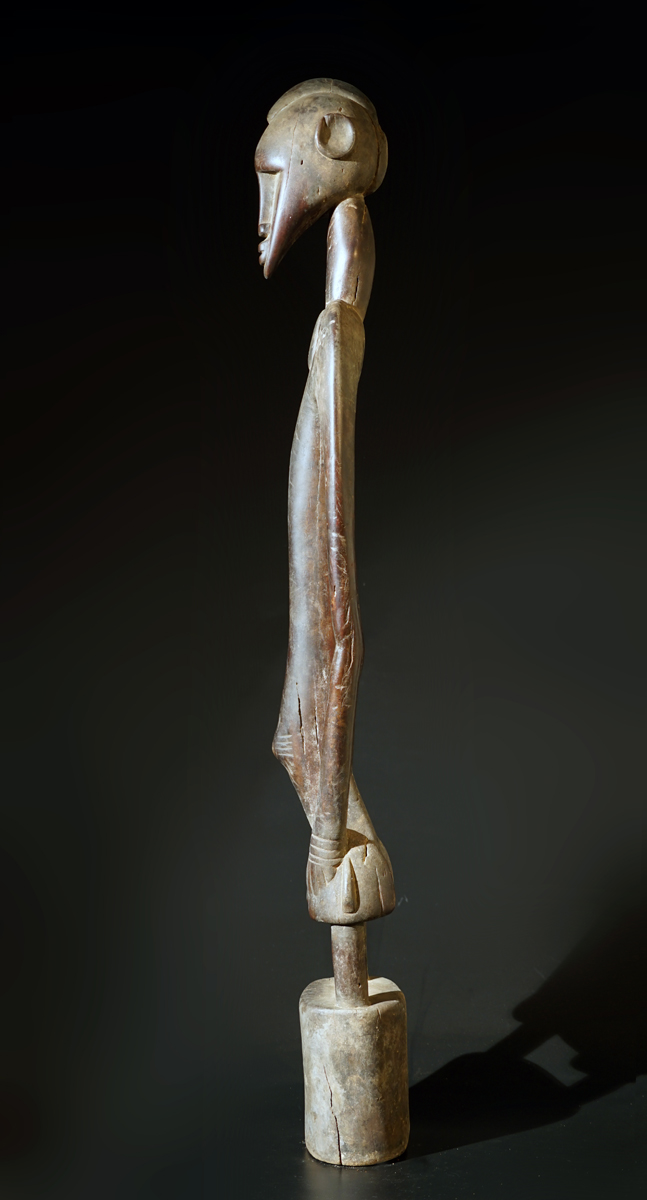FSC07848