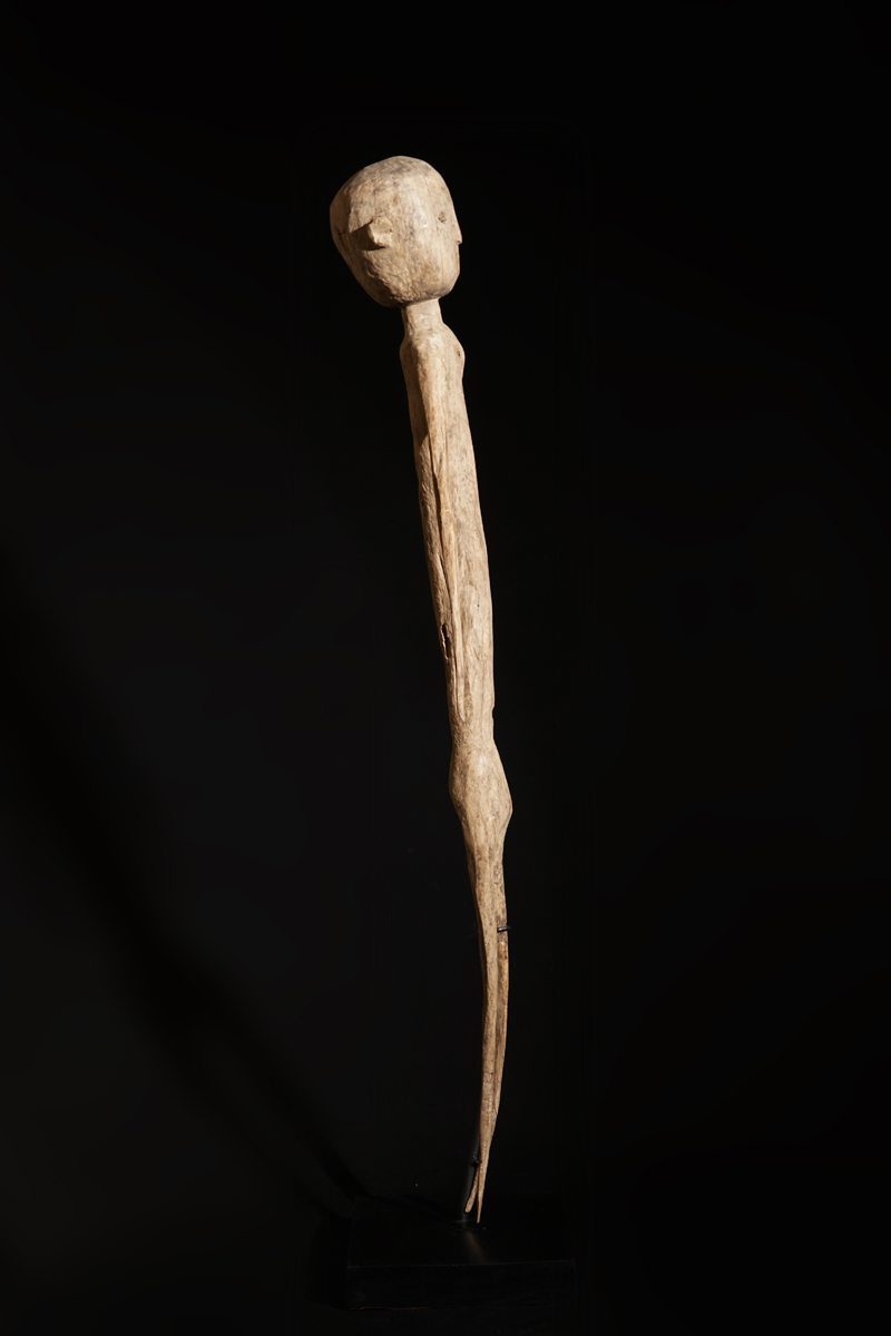 FSC08330