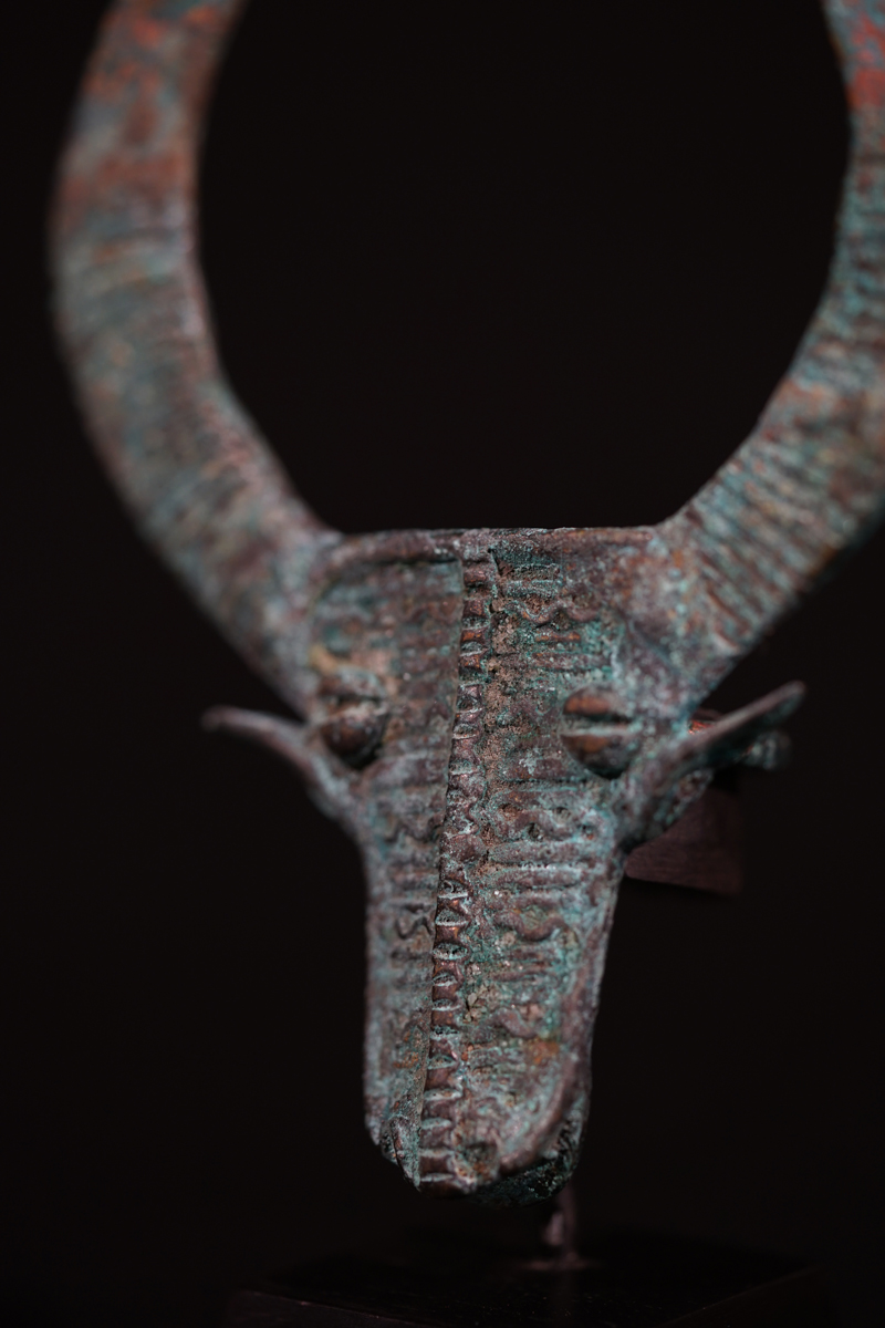 FSB00869